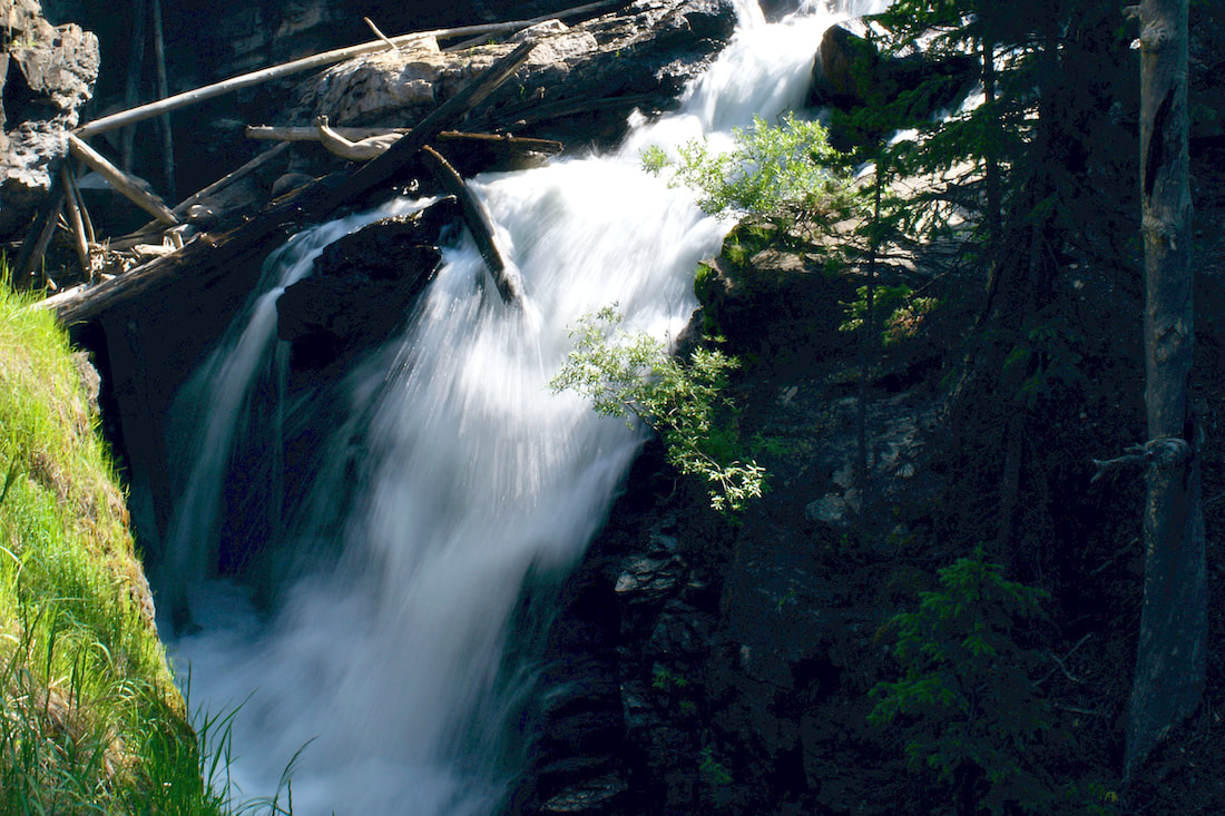 Adams Falls trail, RMDH