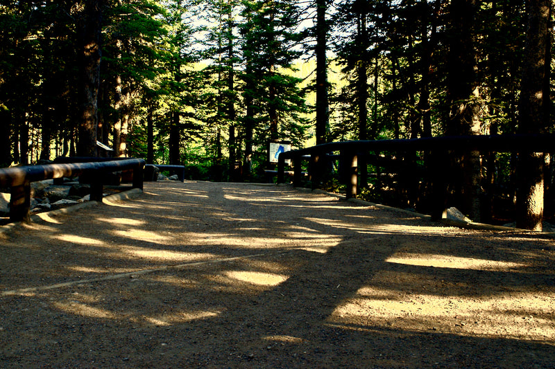 Hike the Bear Lake trail in Rocky Mountain National Park | Short Hikes ...