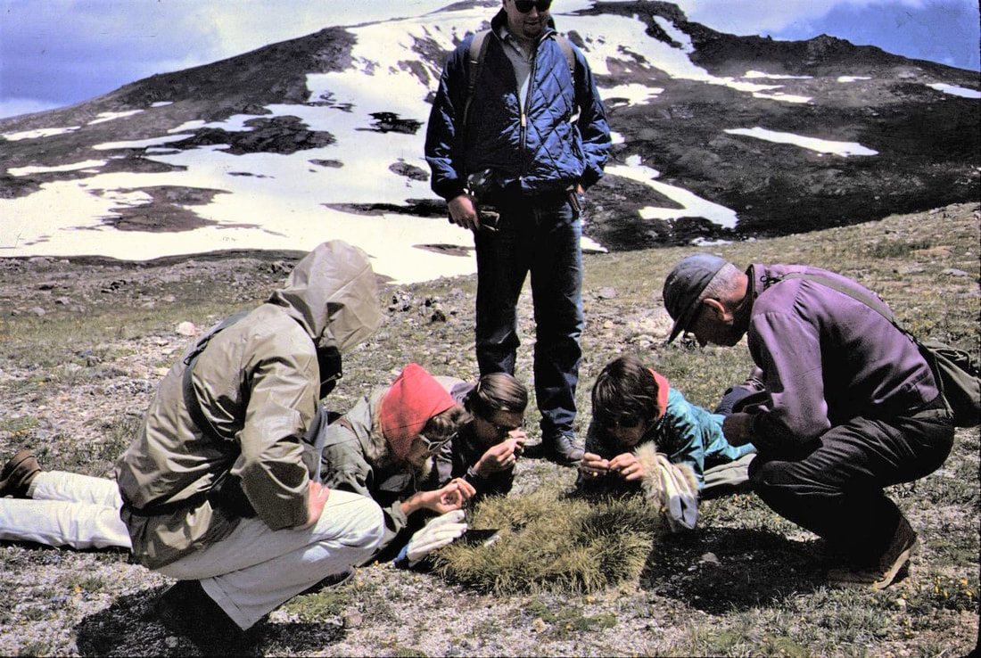 Studying the tundra in Rocky Mountain National Park