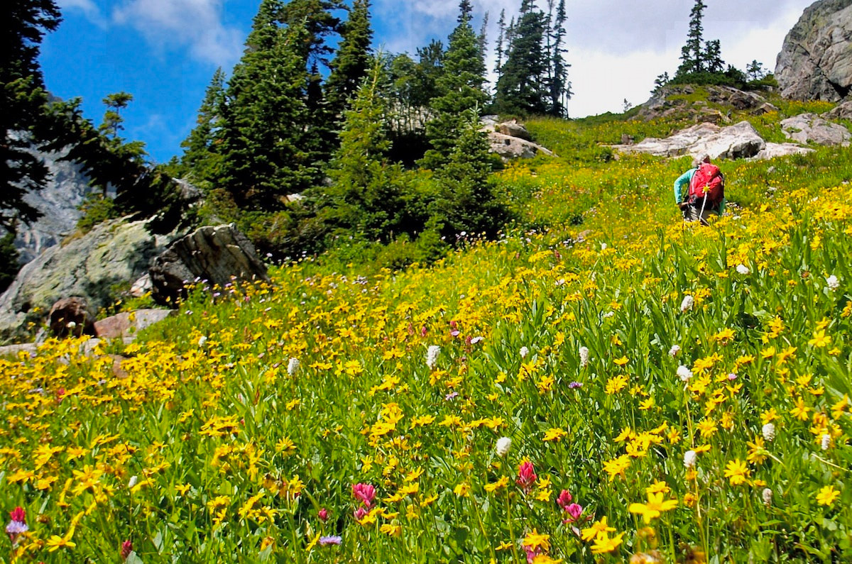 Bluebird Lake Trail, Rocky Mountain National Park