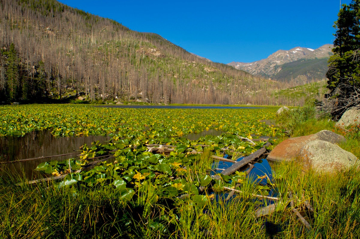 The Pool-Cub Lake Trail, Rocky Mountain National Park