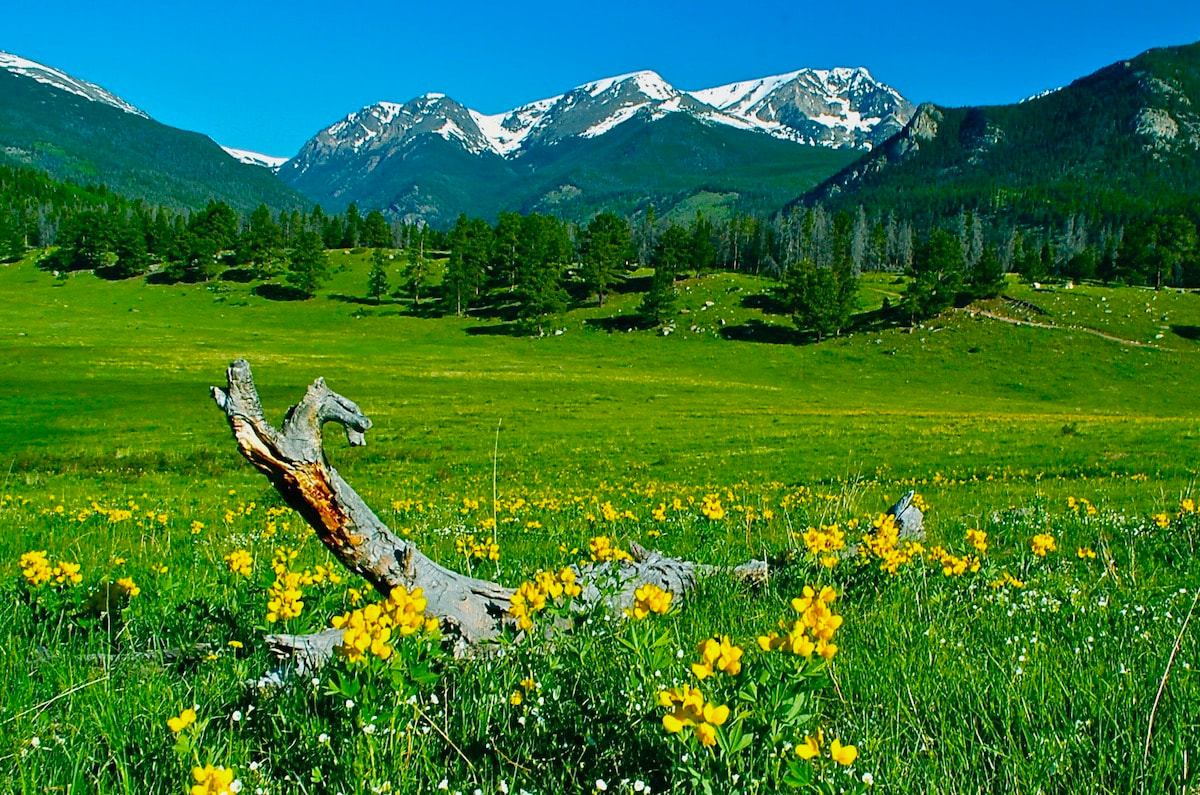 Hike the Deer Ridge Loop in Rocky Mountain National Park | Northern ...