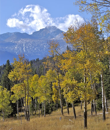 Beaver Mountain Trail, Rocky Mountain National Park