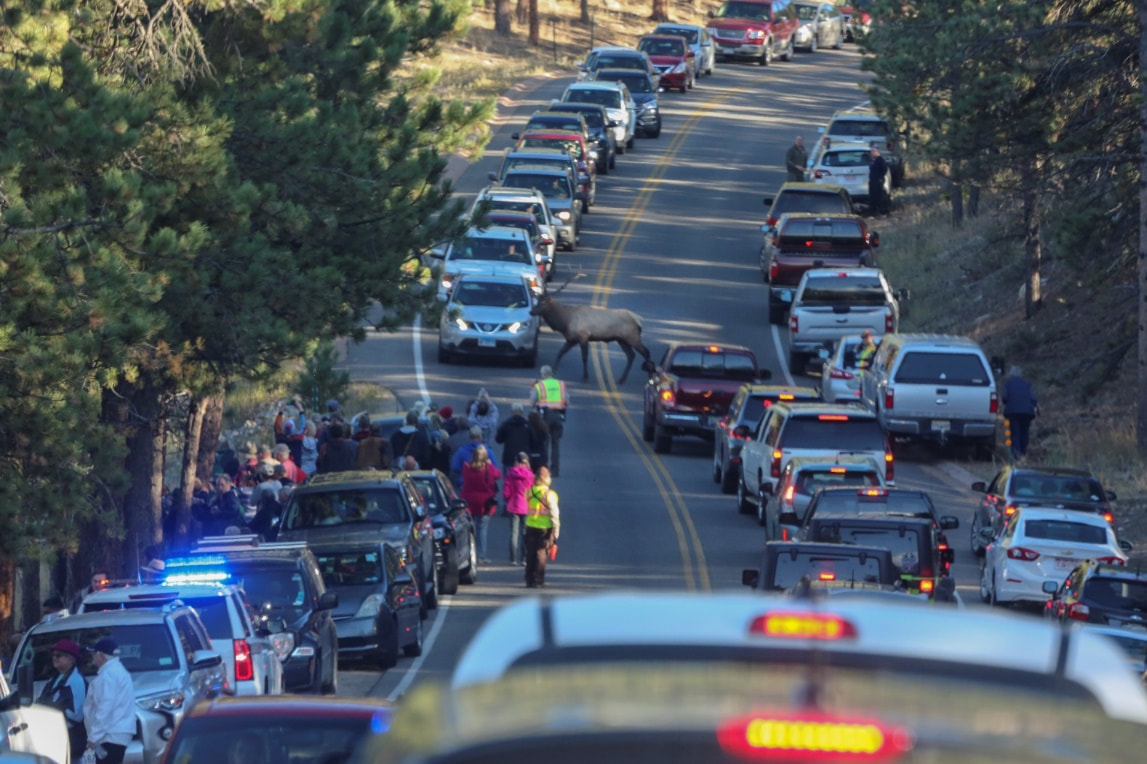 Traffic in Rocky Mountain National Park