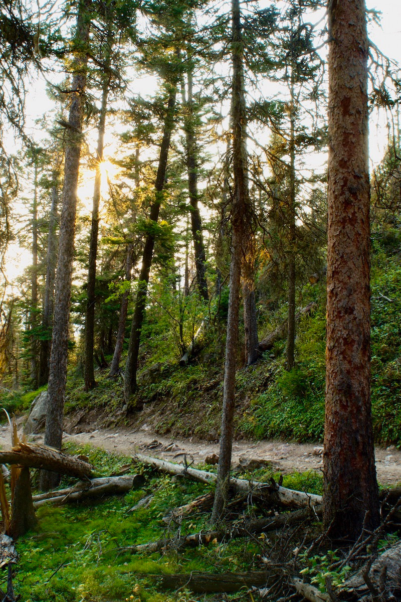 Fern Falls Trail, Rocky Mountain National Park