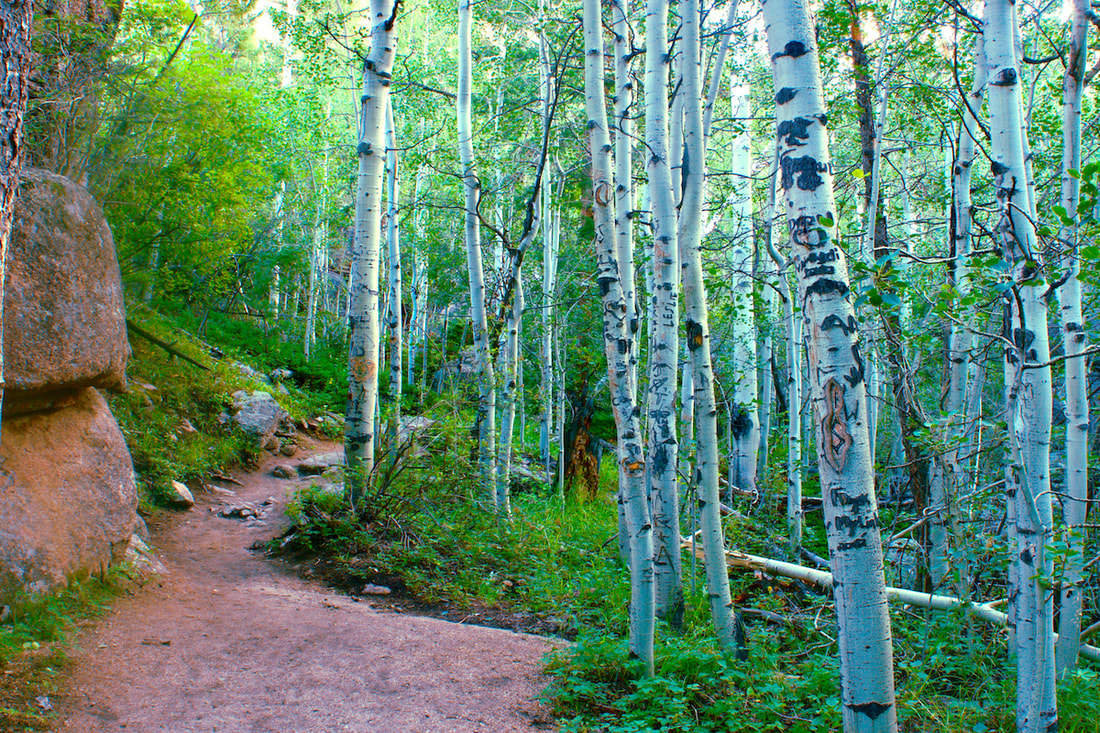 Balanced Rock Trail