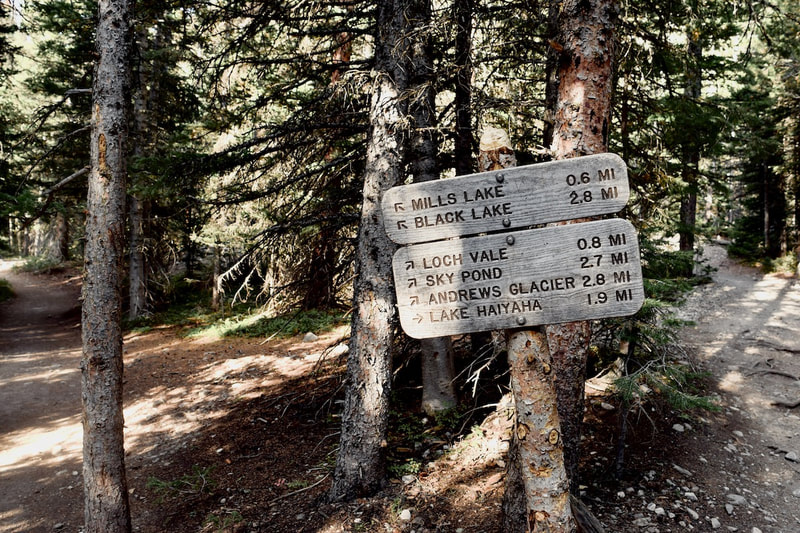 Hike the Mills Lake trail in Rocky Mountain National Park | Moderate ...