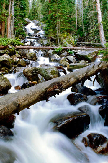 Calypso Cascades, Rocky Mountain National Park