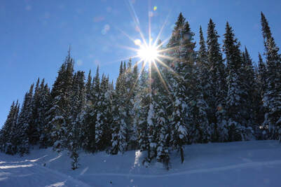 A sunny beautiful winter day.