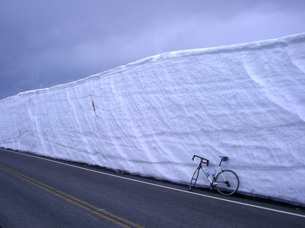 Image of a massive snowbank along Trail Ridge Road in RMNP