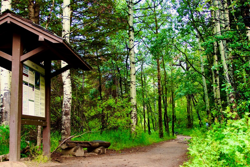 Hike to The Pool in Rocky Mountain National Park | Moderate Hike ...