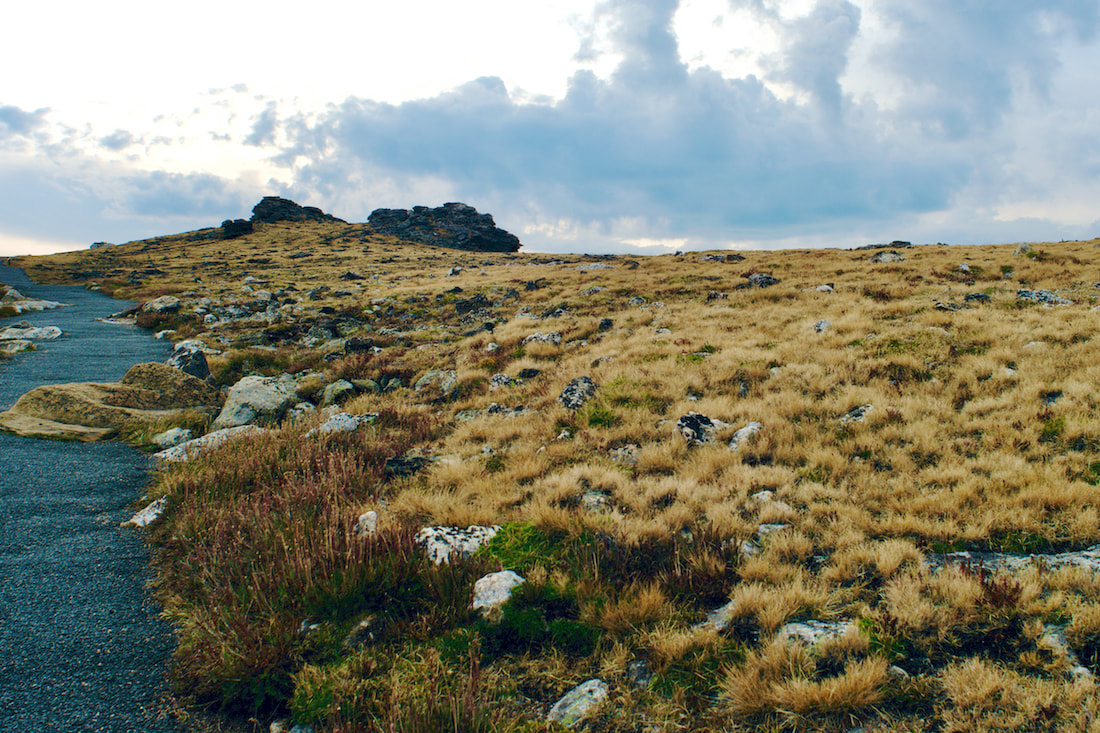 Tundra Communities Trail, RMNP