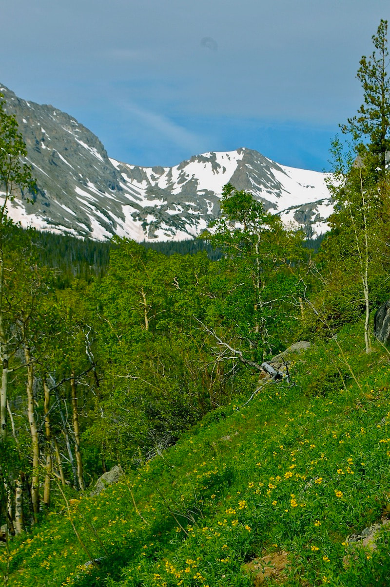 Twin Lakes Trail, Rocky Mountain National Park