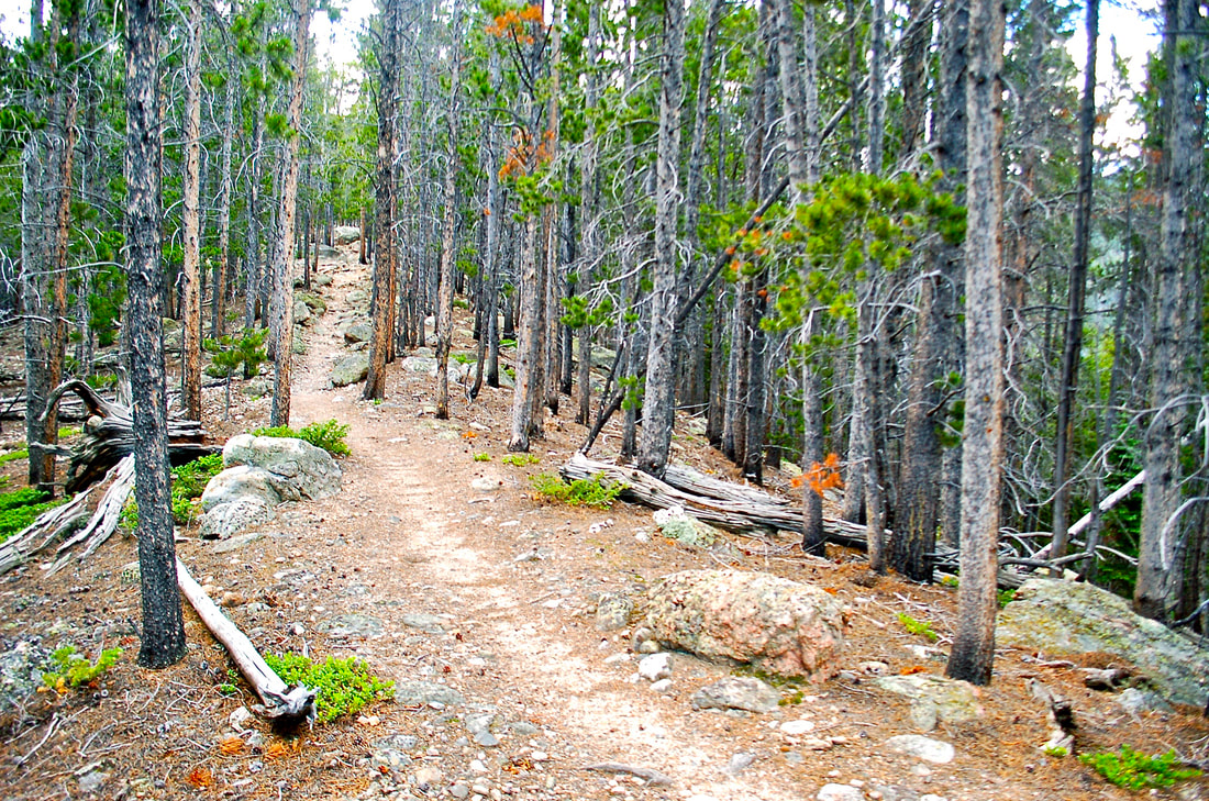 Ypsilon Lake Trail, Rocky Mountain National Park